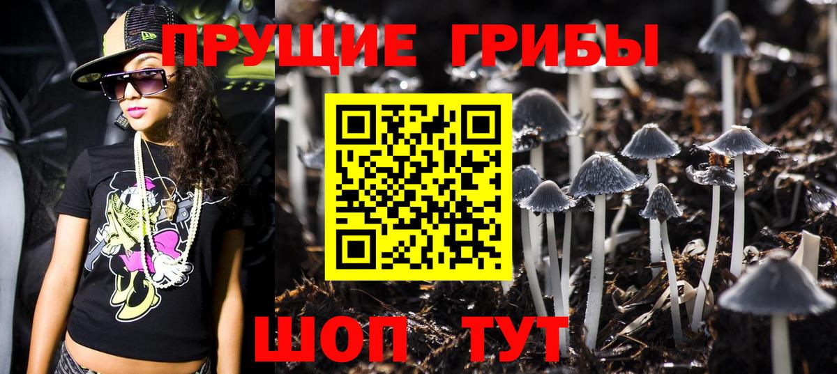 Клинцы  Галлюциногенные грибы MAGIC MUSHROOMS  Псилоцибиновые грибы GOLDEN TEACHER  Вход с VPN 