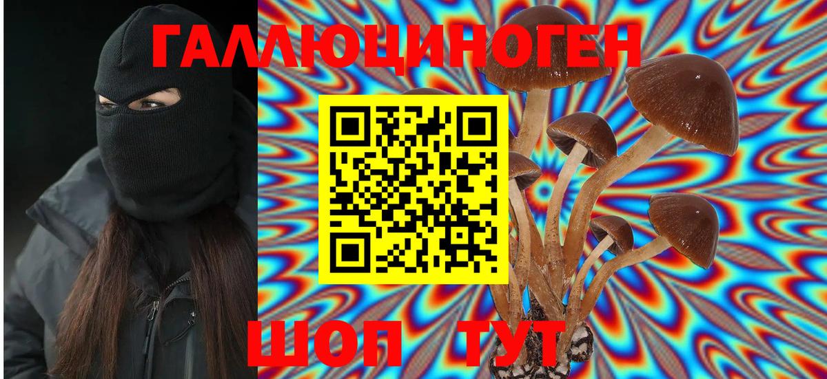 МЕФ кристаллы  COCAIN  МЕТАДОН  Вход с VPN  Клинцы  МАРИХУАНА  ГАШ 